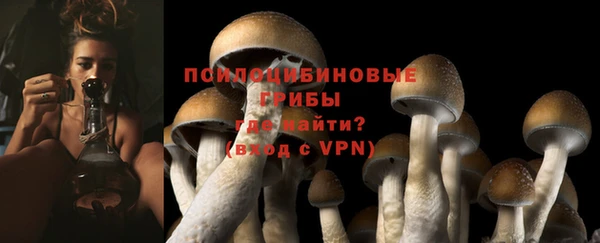а пвп мука Пересвет